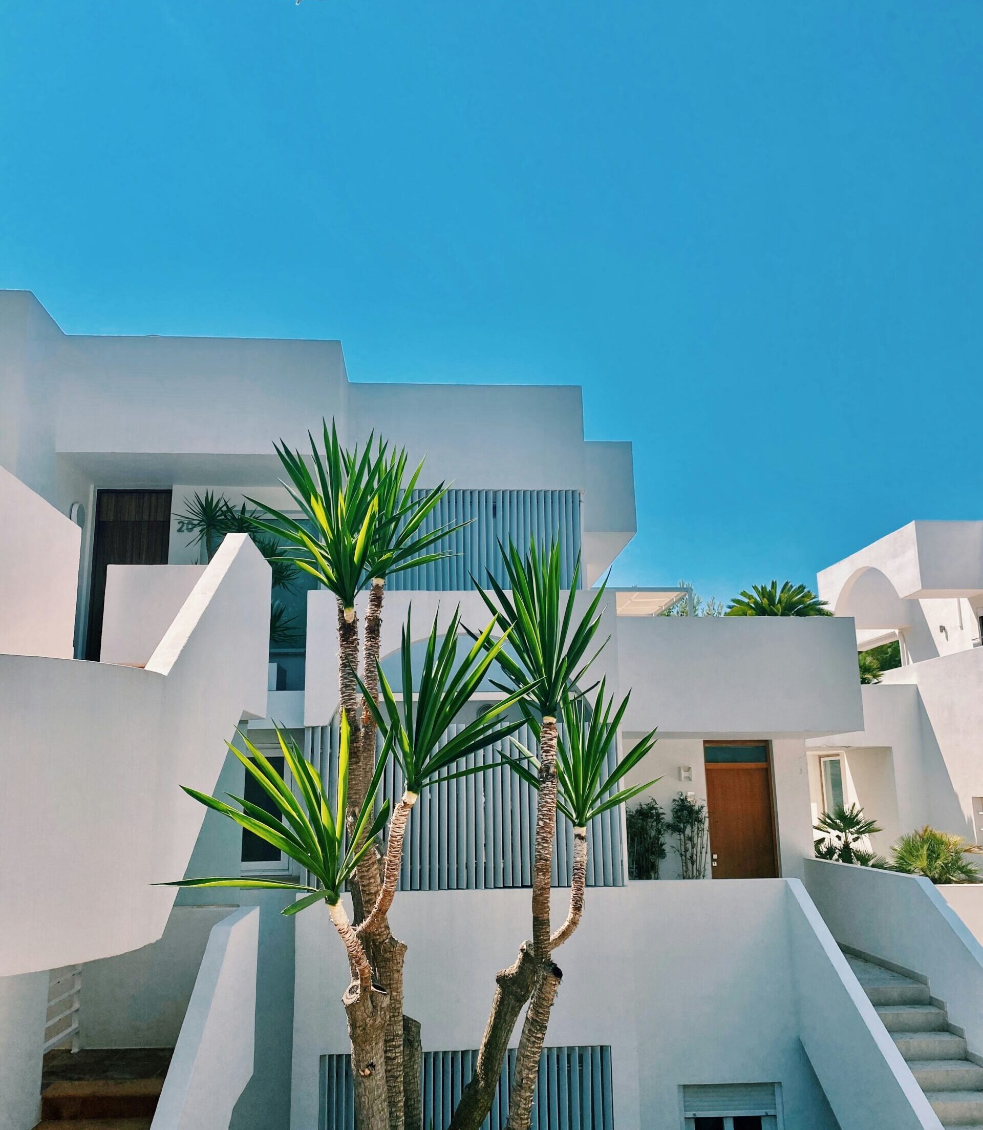 connie-garrad-VGtMvqHDpFw-unsplash